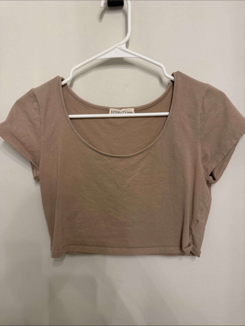 Everyday Scoop Neck Cropped Tee in Taupe